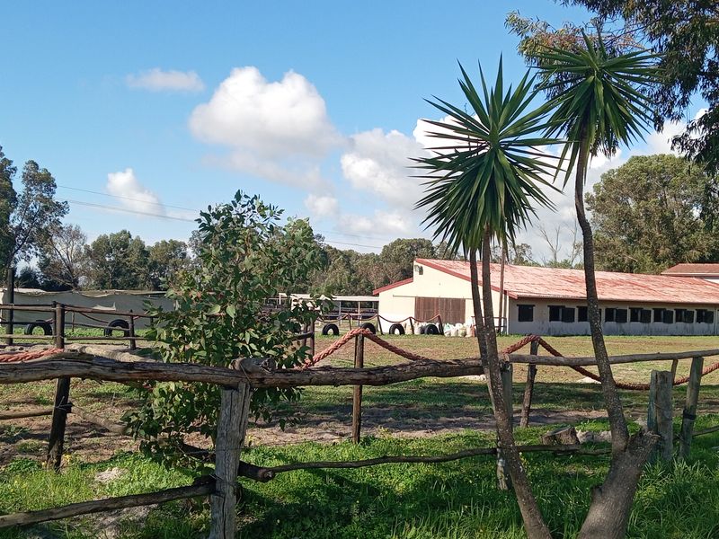 Smallholding Auction In Cape Town - Photo 2