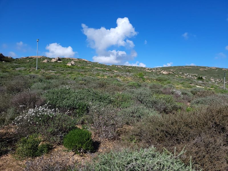 The ideal estate for building your dream holiday or forever home - Photo 8