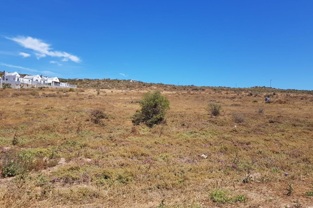 Start Thinking out of the BOX!! - Photo 2