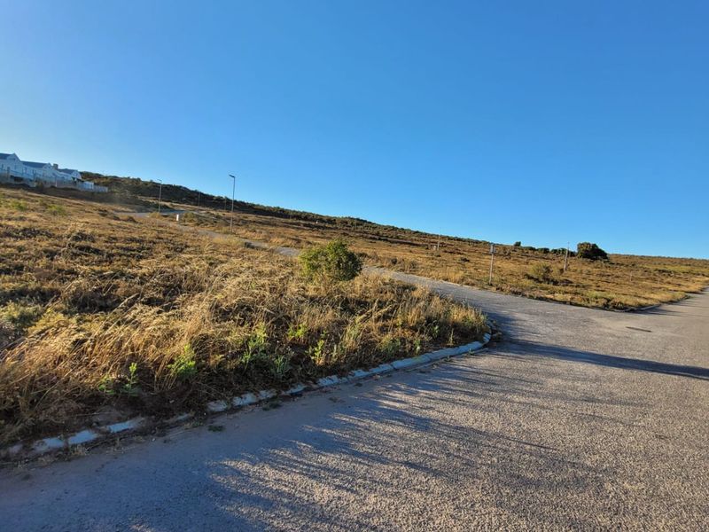 Find your vacant land today - Photo 4