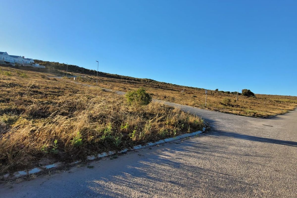 Find your vacant land today - Photo 4