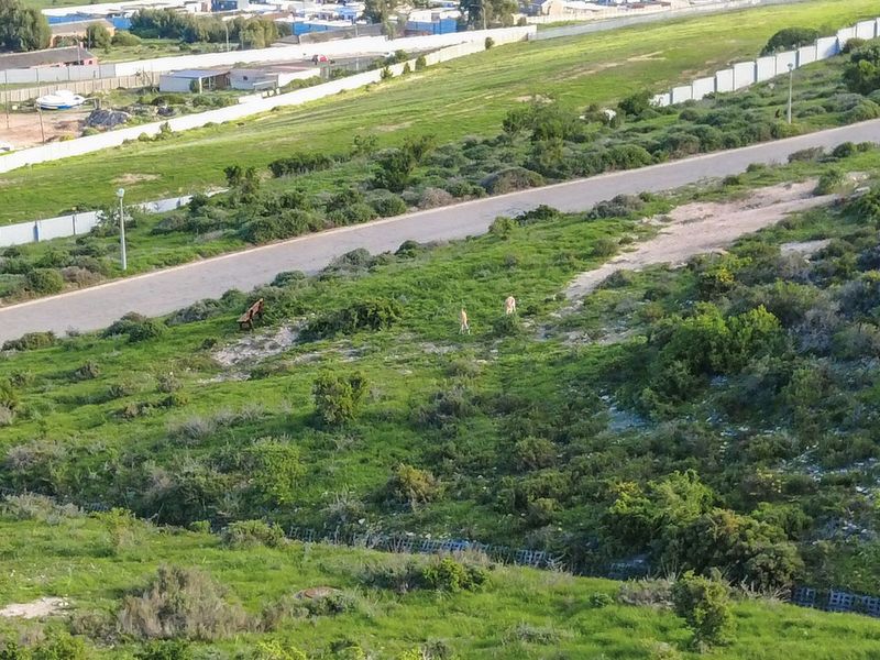 The Perfect Place to Create Your Dream Home - Photo 6