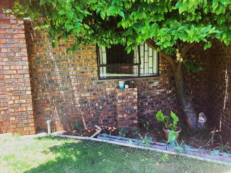 Prime Investment Property with Multiple Income Streams – Kuruman - Photo 7