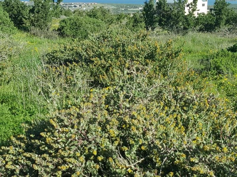 Vacant stand with views for sale Hoogland Estate - Photo 4