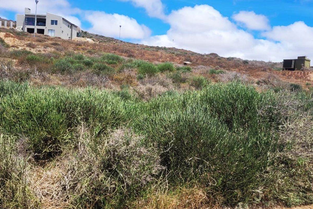 Exceptional value • Rare opportunity • Coastal investment - Photo 4