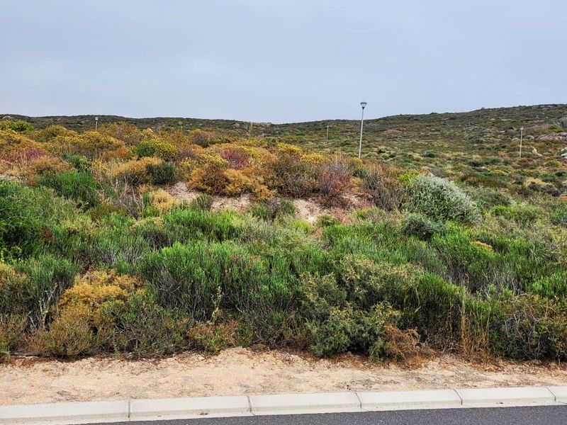 Exceptional value • Rare opportunity • Coastal investment - Photo 7