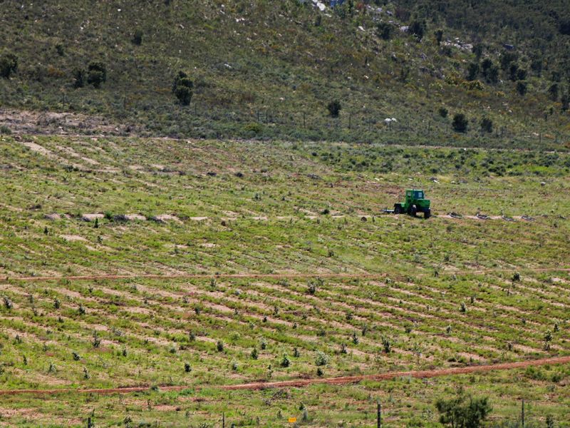 Farm For Sale In Uniondale - Photo 10