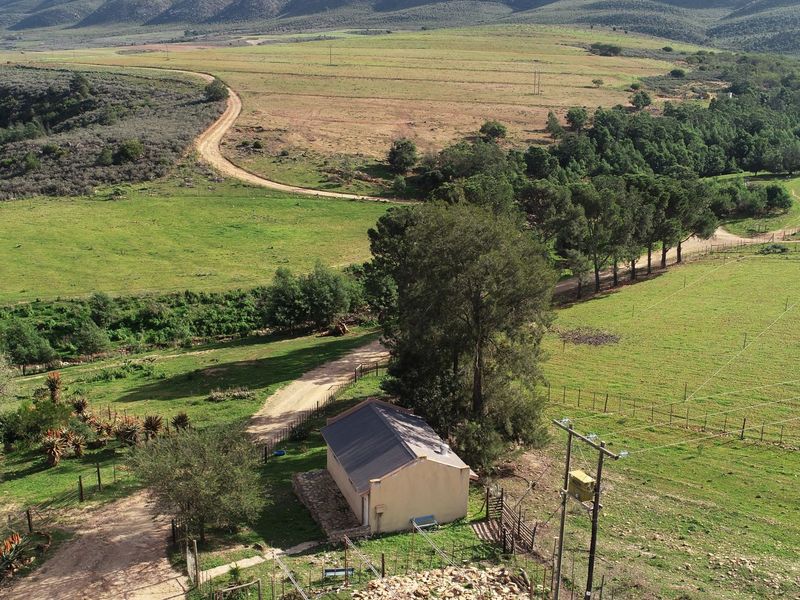 Farm For Sale In Uniondale - Photo 4