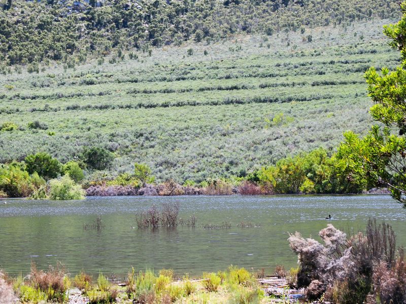 Farm For Sale In Uniondale - Photo 9