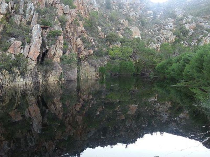 Farm For Sale In Uniondale - Photo 7