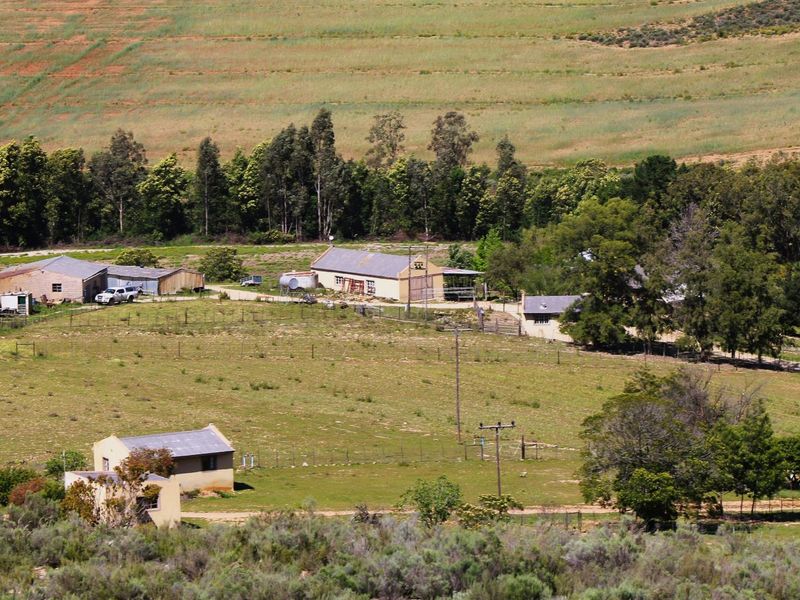 Farm For Sale In Uniondale - Photo 6