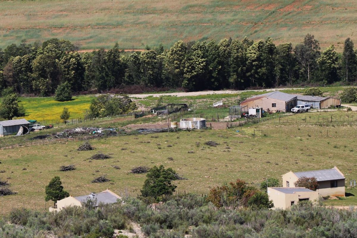 Farm For Sale In Uniondale - Photo 2