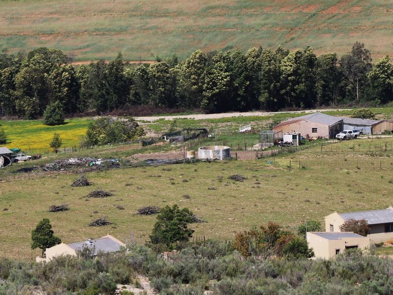 Farm For Sale In Uniondale - Photo 2