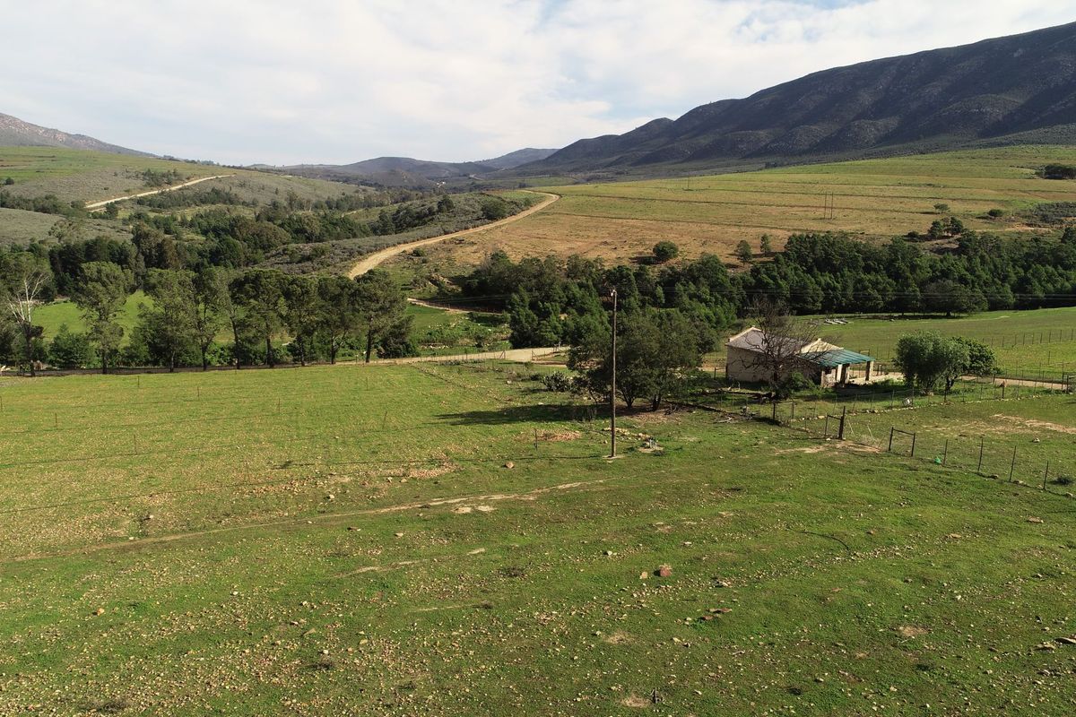 Farm For Sale In Uniondale - Photo 5