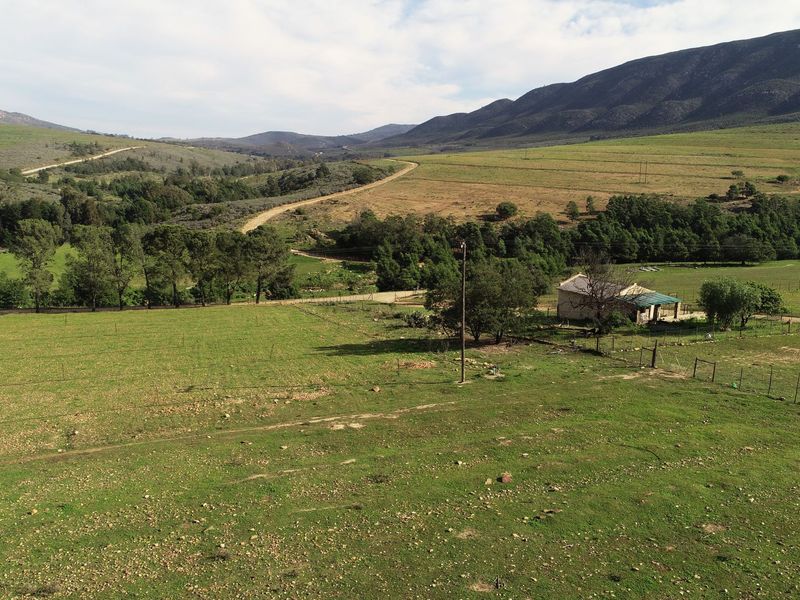 Farm For Sale In Uniondale - Photo 5