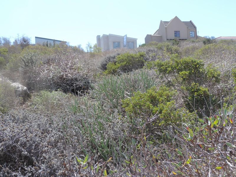 Well placed plot to provide views over Saldanha Bay! - Photo 10