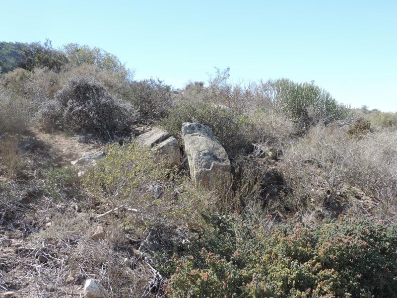 Well placed plot to provide views over Saldanha Bay! - Photo 8