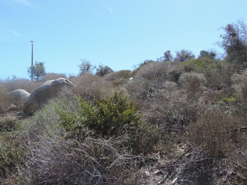 Well placed plot to provide views over Saldanha Bay! - Photo 7