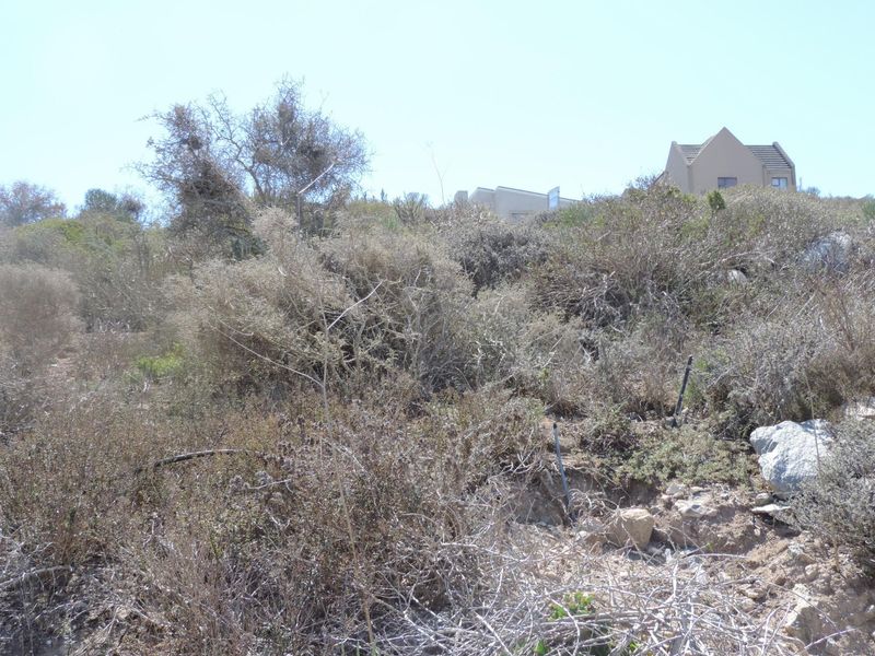 Well placed plot to provide views over Saldanha Bay! - Photo 6