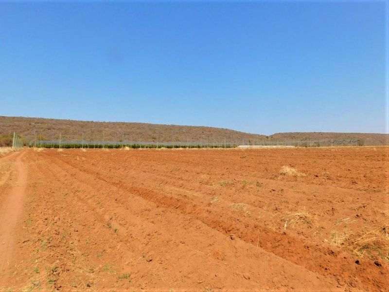 Expansive view of open agricultural farmland with tilled soil and distant perimeter fencing against a clear blue sky.