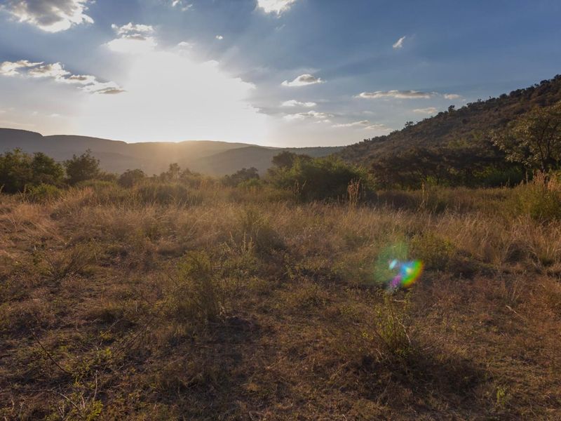 A scenic view of the undeveloped commercial land featuring natural vegetation and rolling hills in the background.