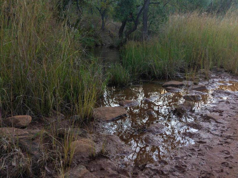 A natural landscape view featuring a small stream, rocky terrain, and native vegetation on the vacant commercial property.