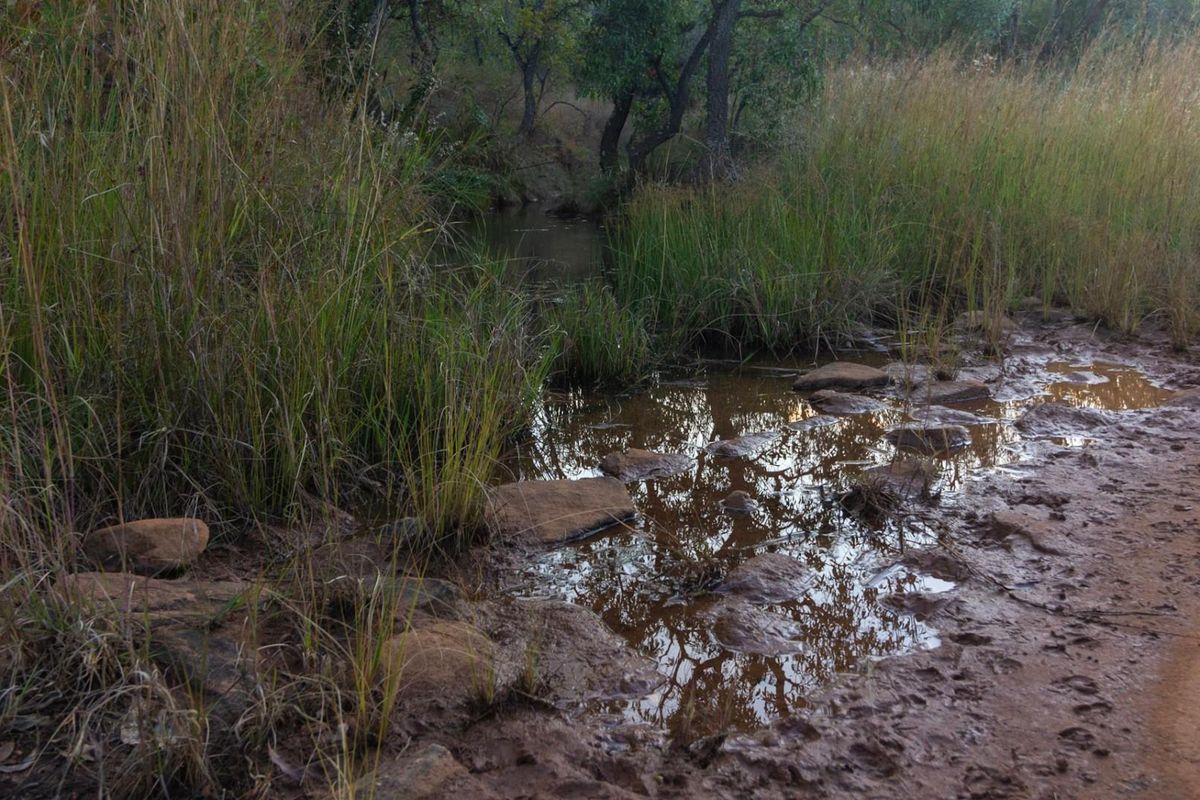 A natural landscape view featuring a small stream, rocky terrain, and native vegetation on the vacant commercial property.