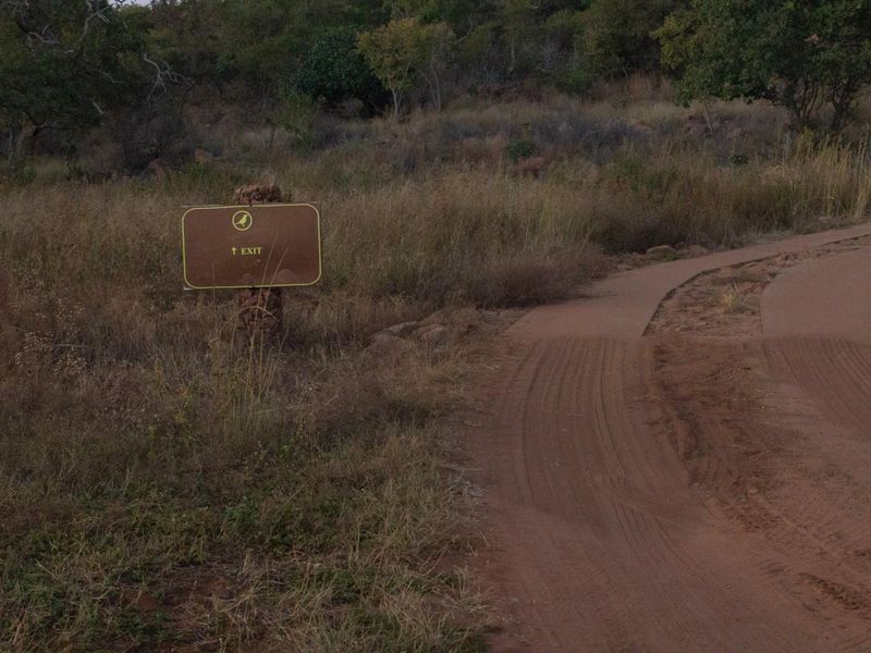 A view of a dirt access road on a vacant commercial land plot with directional signage.