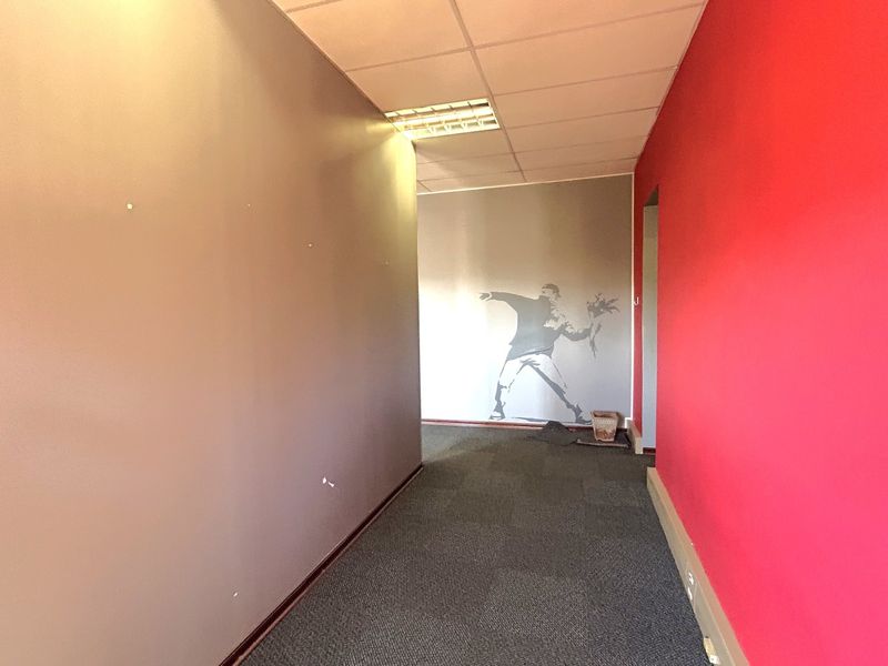An empty office hallway featuring a suspended ceiling, recessed lighting, and carpeted flooring with painted accent walls.