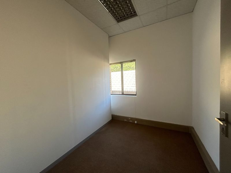 A vacant, neutral office space featuring carpeted flooring, a suspended ceiling with recessed lighting, and a window providing natural light.
