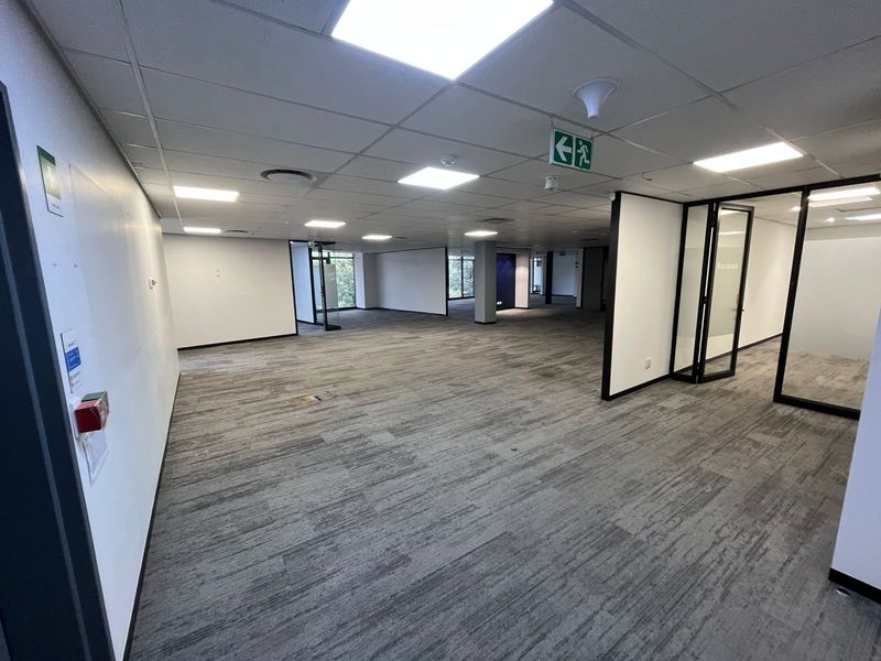 A spacious, open-plan office area featuring modern carpet tiles, suspended ceilings with recessed lighting, and glass-partitioned office enclosures.