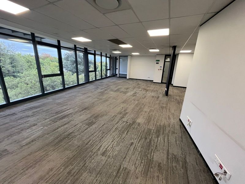 A spacious, empty open-plan office area featuring large floor-to-ceiling windows, a modern suspended ceiling with recessed lighting, and neutral carpeted flooring.