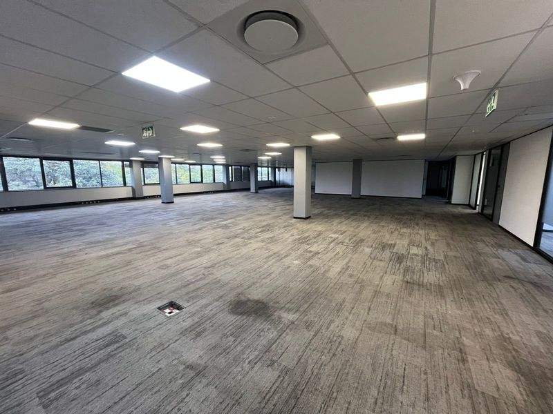 A large, open-plan office space featuring suspended ceilings, recessed lighting, and floor power boxes, offering a versatile layout for professional use.