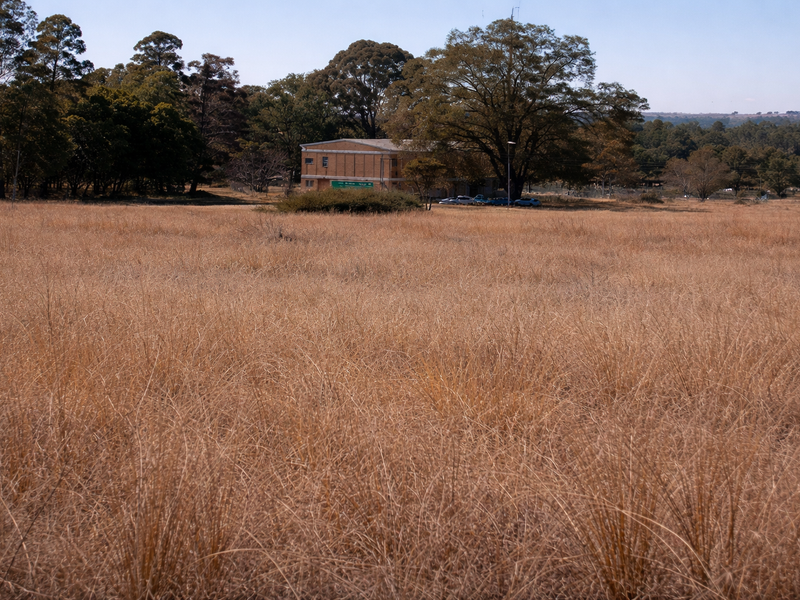 A wide-angle view of a large, undeveloped commercial land parcel featuring expansive dry grassland and mature trees in a natural setting.