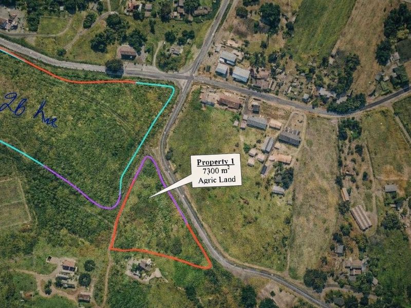 Aerial view of a 7300 square meter agricultural land plot with marked boundaries, situated near local road infrastructure.
