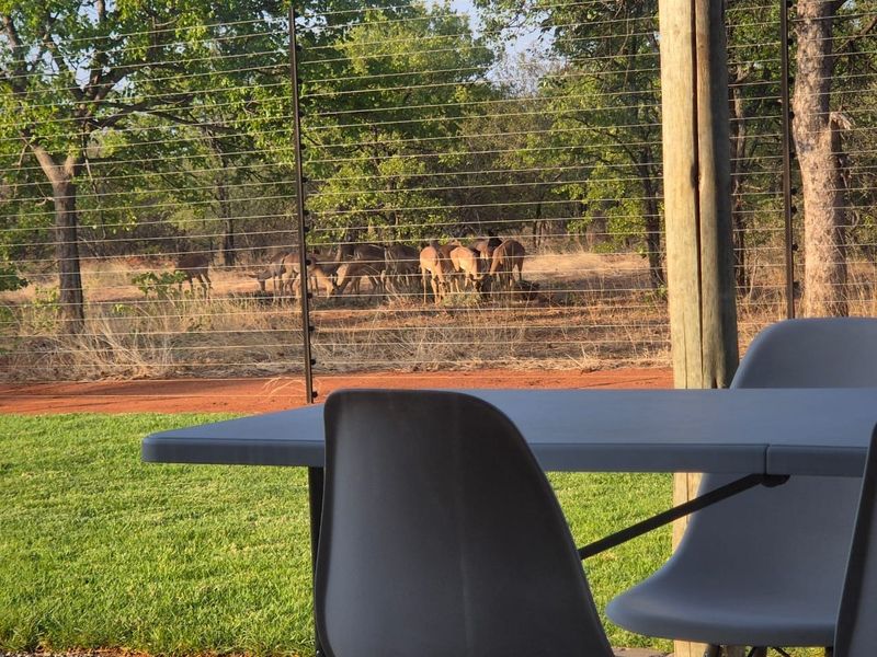 A covered patio area overlooking a natural bushveld landscape with an electric fence boundary and wildlife visible in the background.