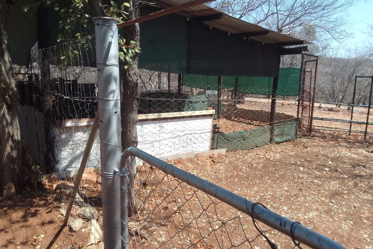 Outdoor utility or livestock enclosure featuring wire mesh fencing, metal support posts, and a corrugated roof structure with shade cloth screening.