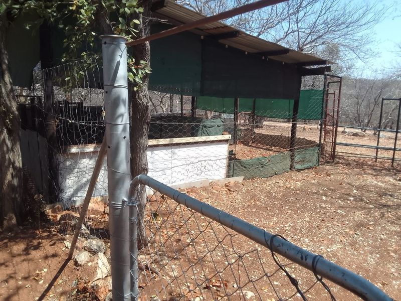 Outdoor utility or livestock enclosure featuring wire mesh fencing, metal support posts, and a corrugated roof structure with shade cloth screening.
