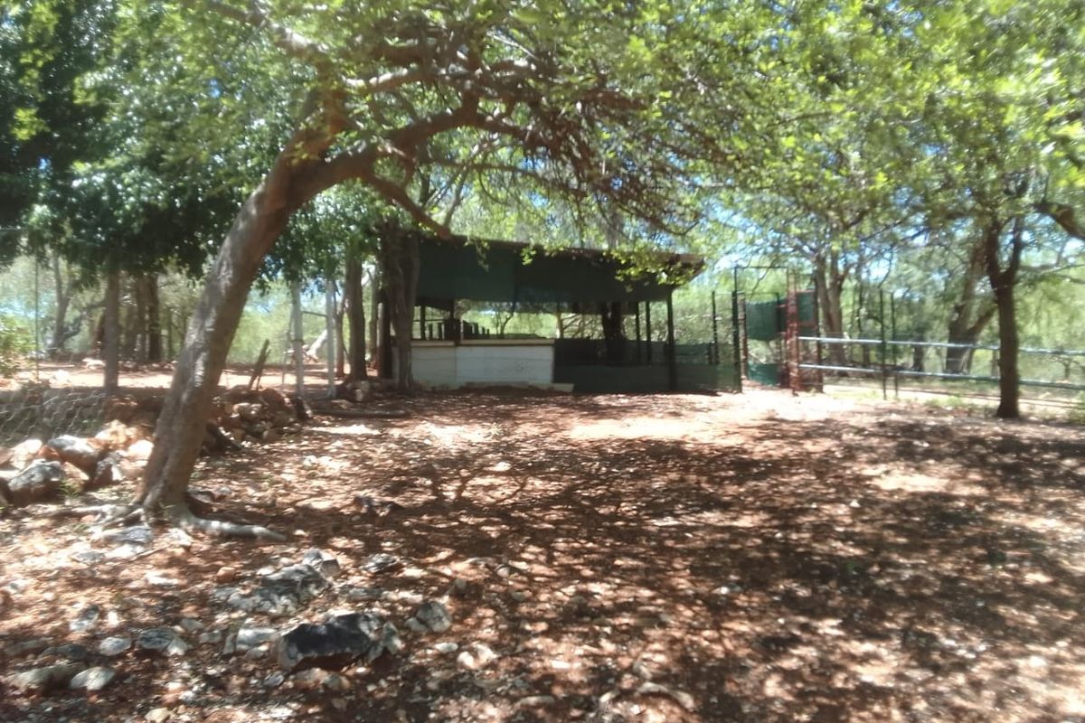 A shaded outdoor area on the farm property featuring a covered structure, metal fencing, and mature trees in a natural landscape setting.