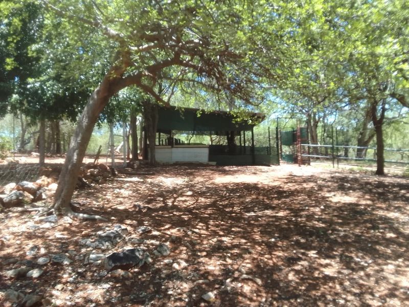 A shaded outdoor area on the farm property featuring a covered structure, metal fencing, and mature trees in a natural landscape setting.
