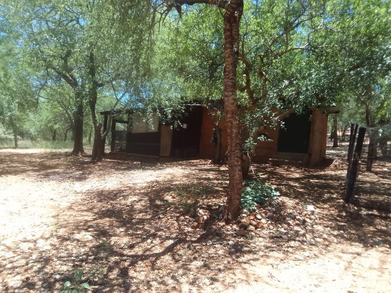A rustic, weathered structure situated in a wooded area with mature trees and natural earthen ground.