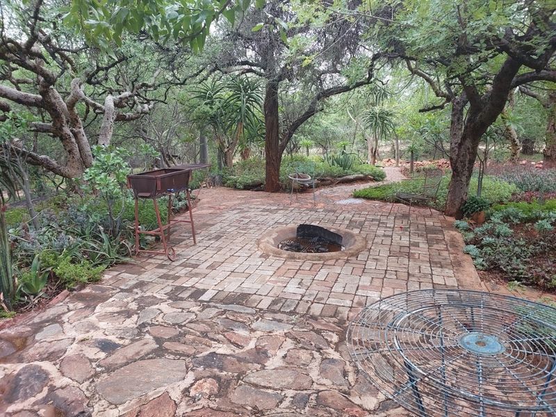 A rustic outdoor patio area featuring stone paving and a built-in fire pit, nestled within a natural, tree-shaded garden setting.