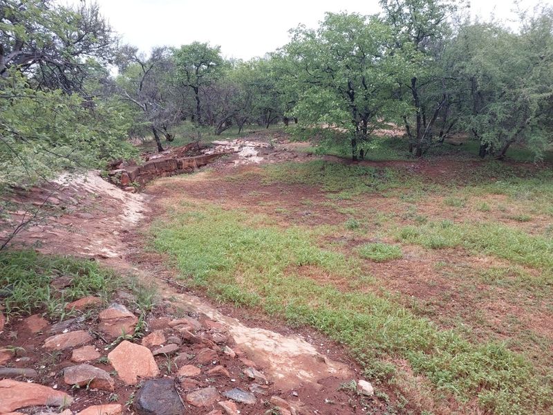 A natural landscape view of the farm property featuring indigenous trees, rocky terrain, and a stone retaining wall.