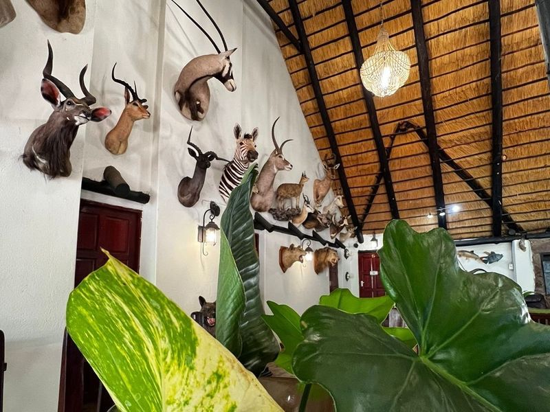 Spacious living area featuring a high vaulted thatched ceiling with exposed timber rafters and traditional wall-mounted lighting.