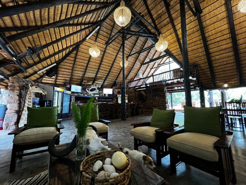Spacious open-plan living area featuring a high thatched roof with exposed timber trusses, stone walls, and a built-in bar area.