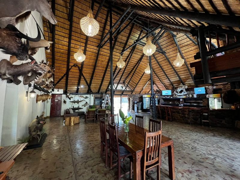 Spacious open-plan living and dining area featuring a high thatched roof with exposed timber trusses, stone bar counter, and polished concrete flooring.