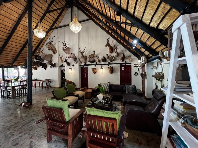 Spacious living area featuring a high vaulted thatched roof with exposed timber rafters and polished concrete flooring, creating a rustic farm-style atmosphere.