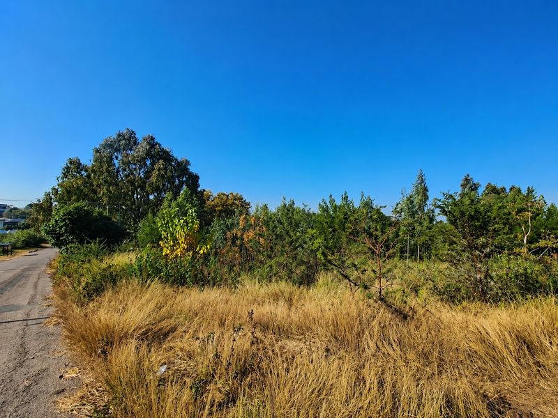 A view of a vacant residential plot featuring native vegetation and mature trees, situated adjacent to a paved road.