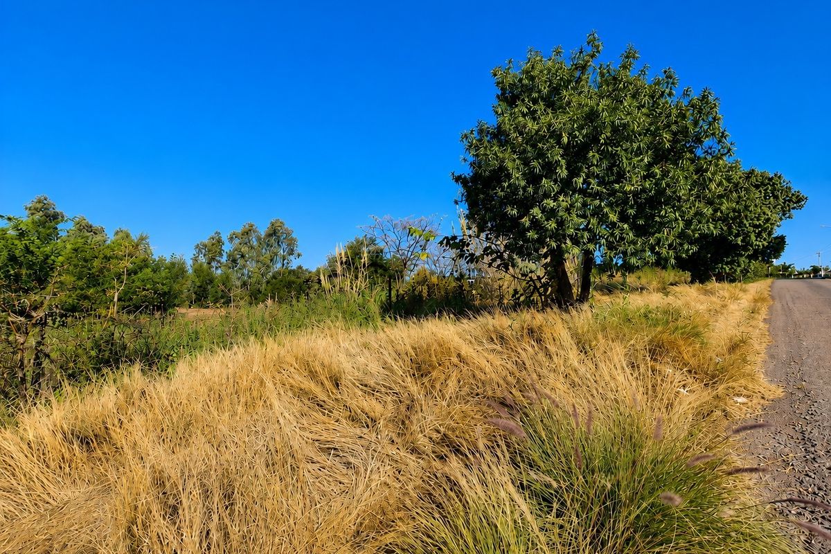 Vacant Stand for Sale in Waterkloof Heights - Photo 4