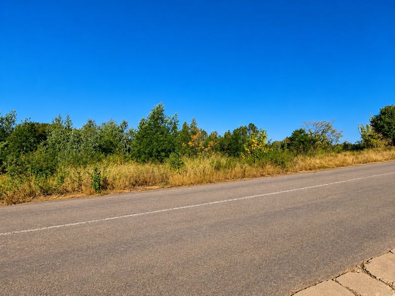 A view of the asphalt road and roadside vegetation bordering the vacant residential land.